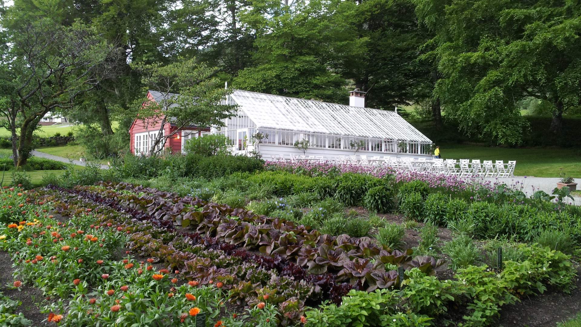 Greenhouse Cafe