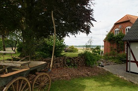 DSC07373L